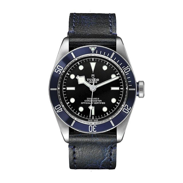 TUDOR BLACK BAY AUTOMATIC 41 MM POLISHED AND SATIN STEEL BLACK WITH GRAY INDICES DOWN
