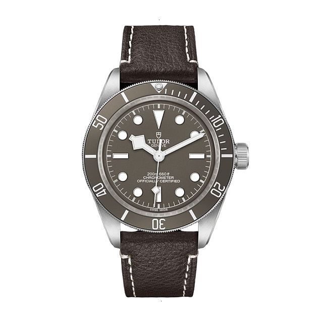 TUDOR BLACK BAY FIFTY-EIGHT AUTOMATIC 39 MM 925 SILVER GRAY PLUMBED TOPO